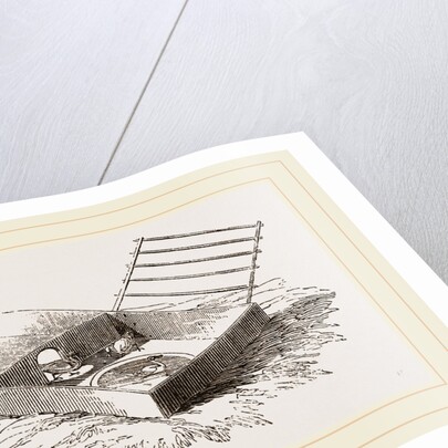 Artificial Mother for Water-fowl by Anonymous