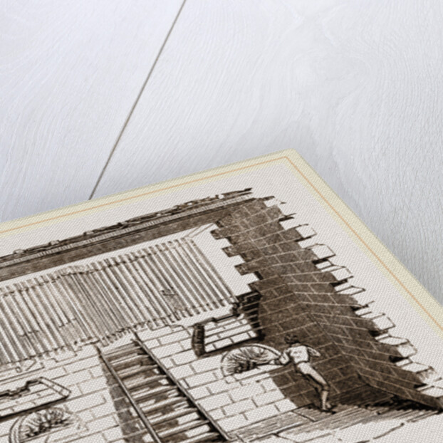 Hatching-room at Paris by Anonymous