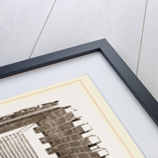 Hatching-room at Paris by Anonymous