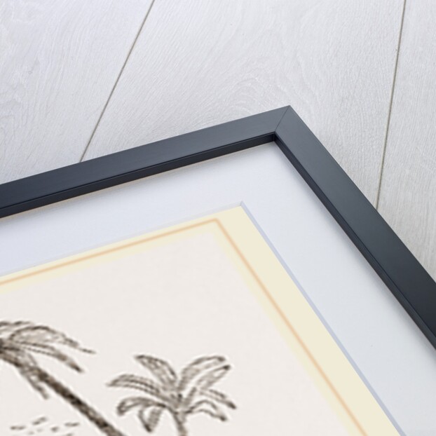 Egyptian Egg-Oven by Anonymous