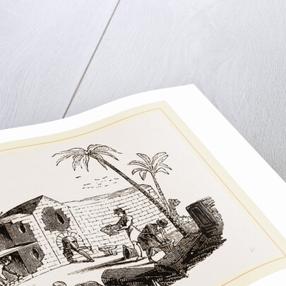 Egyptian Egg-Oven by Anonymous