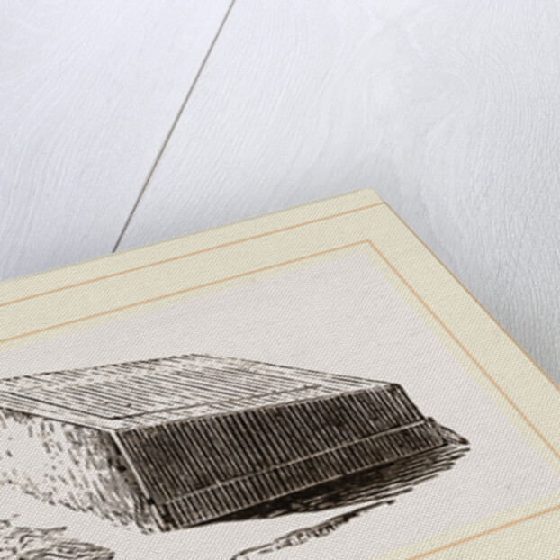 Artificial Mother by Anonymous