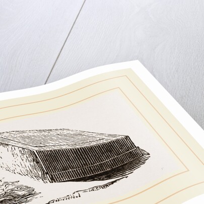 Artificial Mother by Anonymous