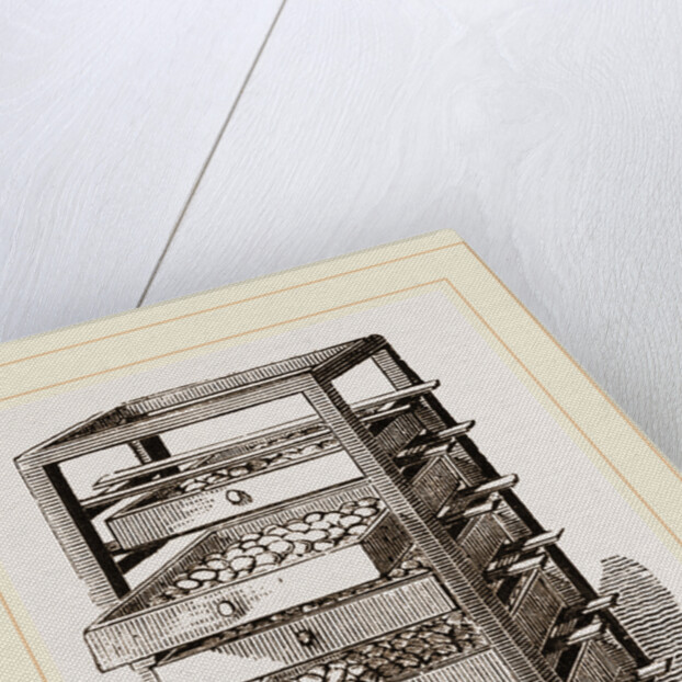 Egg-Frame by Anonymous