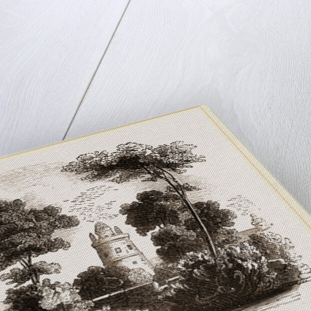 Pigeon towers in Persia by Anonymous