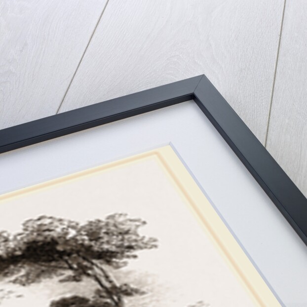 Pigeon towers in Persia by Anonymous