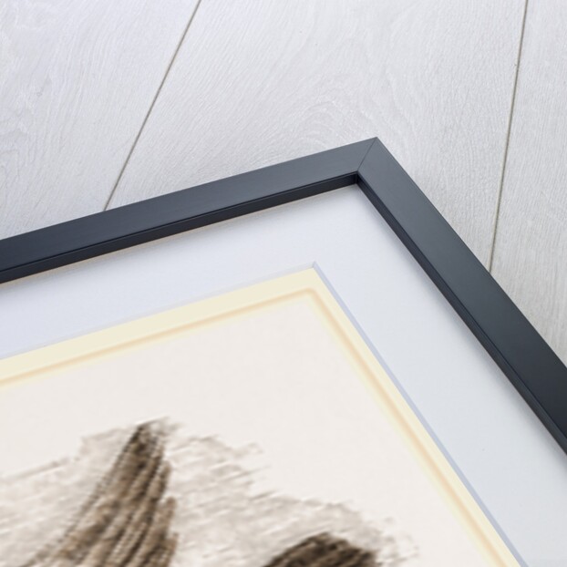 Carrier-Pigeon by Anonymous