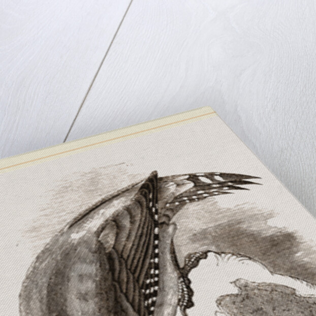 Green Woodpeckers by Anonymous