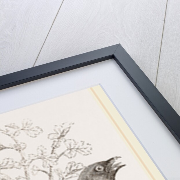 Cuckoo and Nest by Anonymous