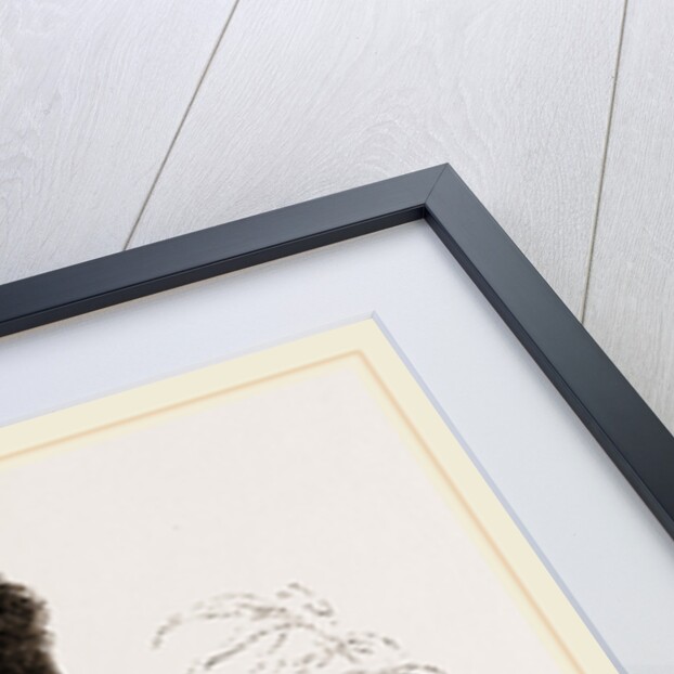 Rhinoceros Hornbill by Anonymous