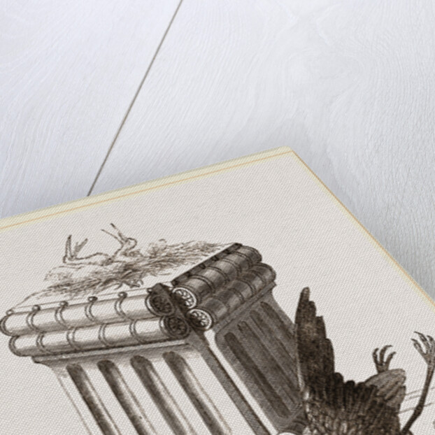 Stork's Nest at Persepolis, Iran by Anonymous