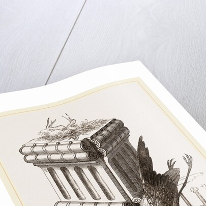 Stork's Nest at Persepolis, Iran by Anonymous