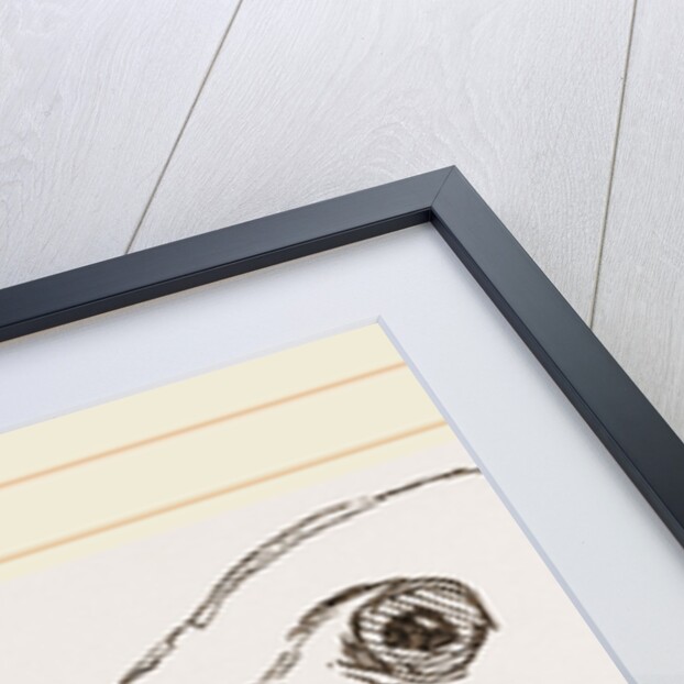 Bill of Stork by Anonymous
