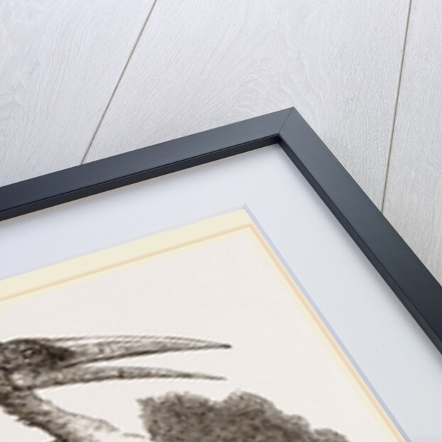 Adjutant by Anonymous