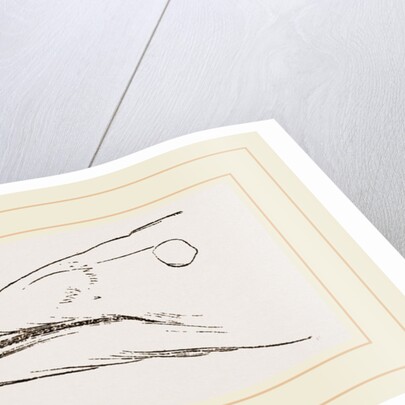 Bill of Guillemot by Anonymous