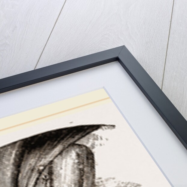 Skull and Head of Cormorant by Anonymous