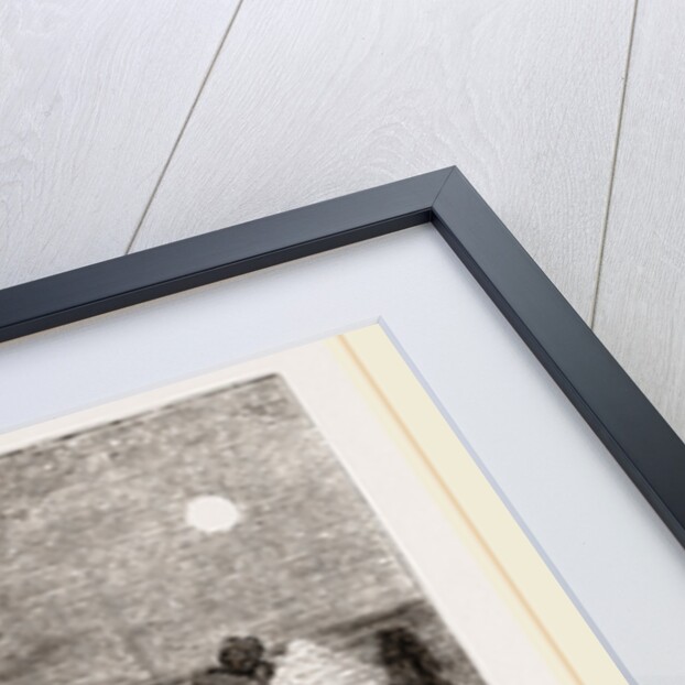 Catching Turtles on the Coast of Cuba by Anonymous