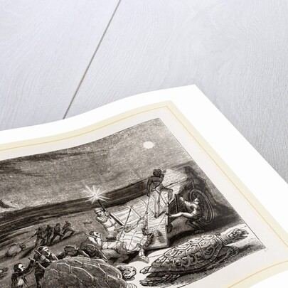 Catching Turtles on the Coast of Cuba by Anonymous