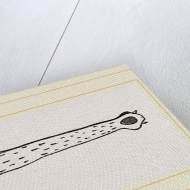 Head of Gavial by Anonymous