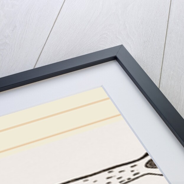 Head of Gavial by Anonymous