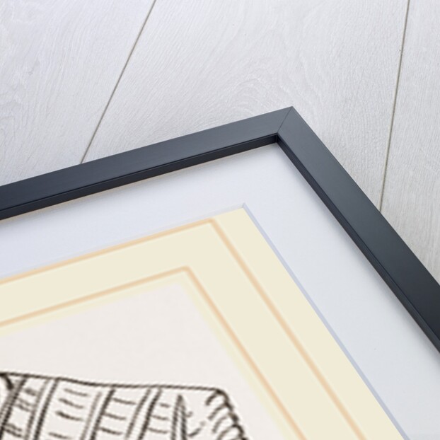 Teeth of Fossil Iguanodon by Anonymous