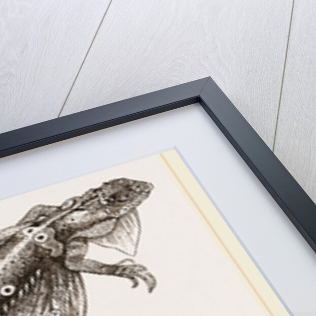 Fringed Dragon by Anonymous