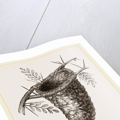 Nest of Flycatcher by Anonymous