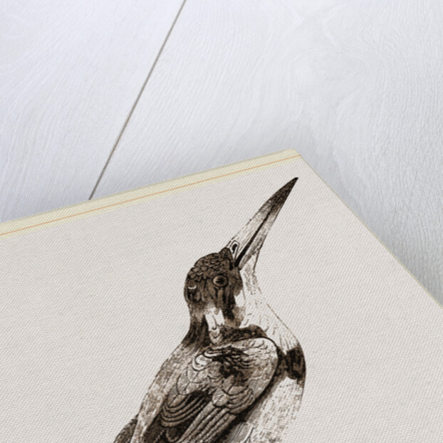 Burung biru by Anonymous