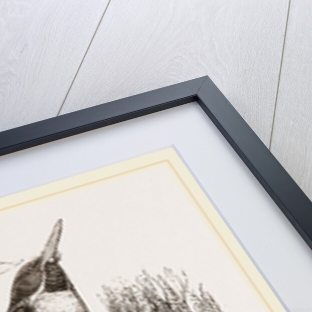 Green Todies by Anonymous