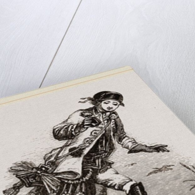 Hawking for Wild-Ducks by Anonymous