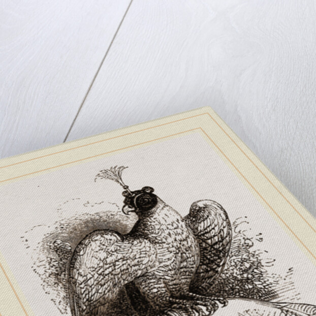 Hawk on Fist by Anonymous