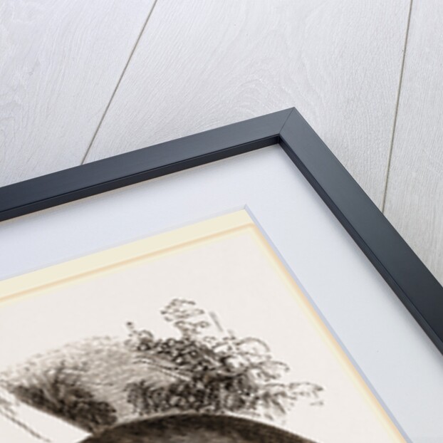 Pine Marten by Anonymous