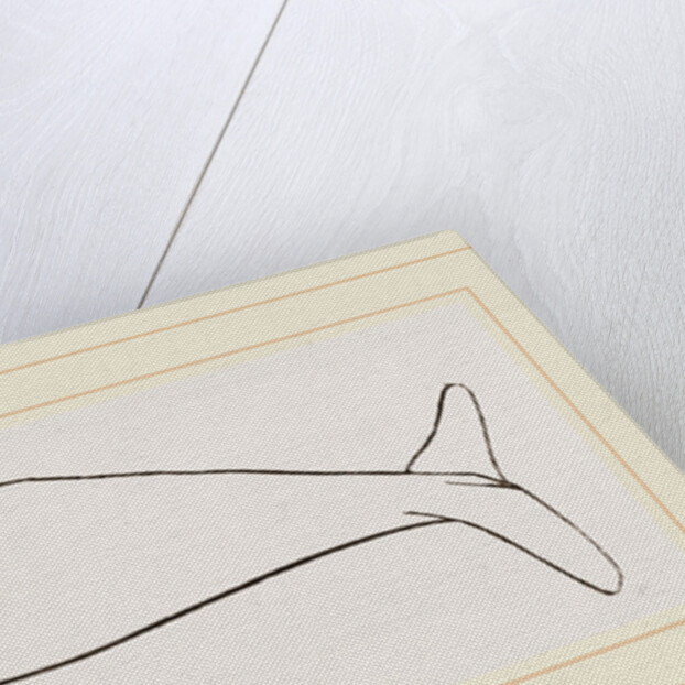 New Zealand Whale by Anonymous
