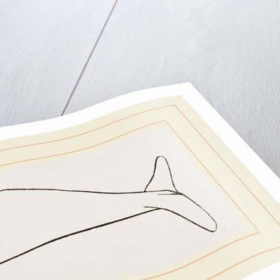 New Zealand Whale by Anonymous