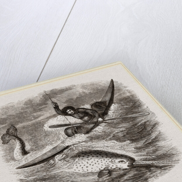 Spearing the Narwhal by Anonymous