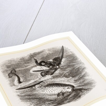 Spearing the Narwhal by Anonymous