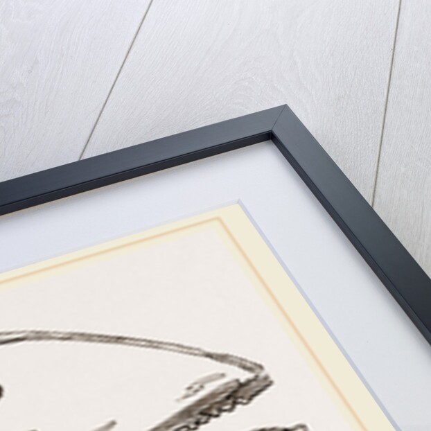 Section of Head Porpoise by Anonymous