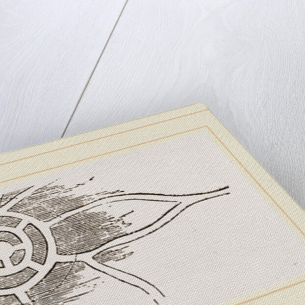 Habitation and Hunting-ground of Mole by Anonymous