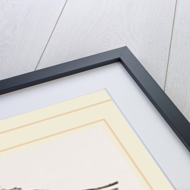 Habitation and Hunting-ground of Mole by Anonymous