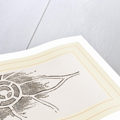 Habitation and Hunting-ground of Mole by Anonymous