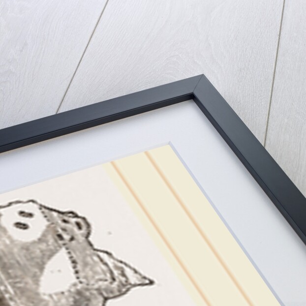 Skull of Solenodon by Anonymous