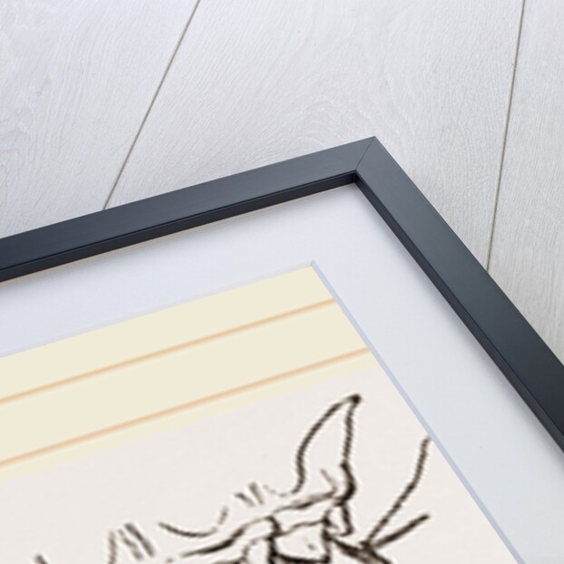 Teeth of Star nosed Mole by Anonymous