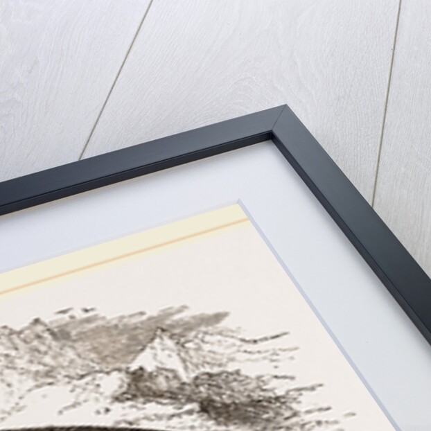 Sea-Leopard by Anonymous