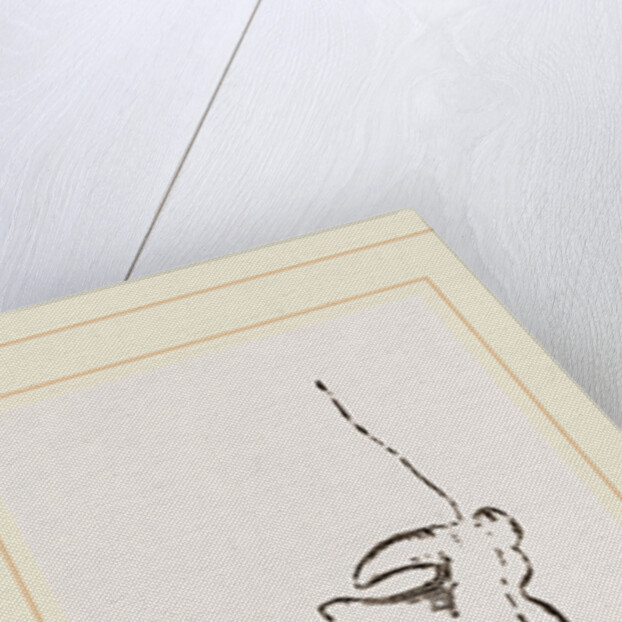 Teeth of Sea-Leopard by Anonymous