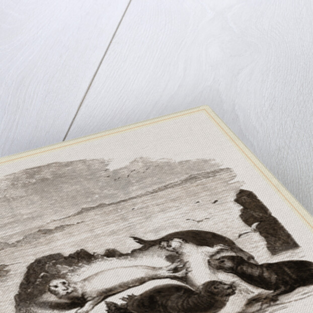 Seal hunting in Scotland by Anonymous