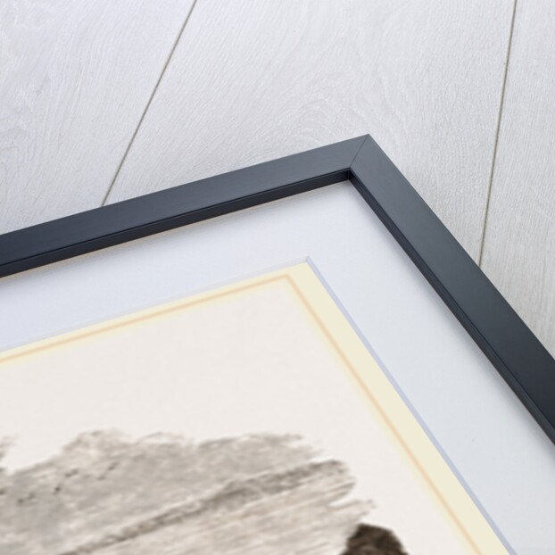 Seal hunting in Scotland by Anonymous