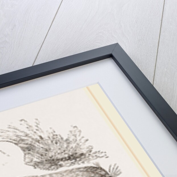 Sea-Otter by Anonymous