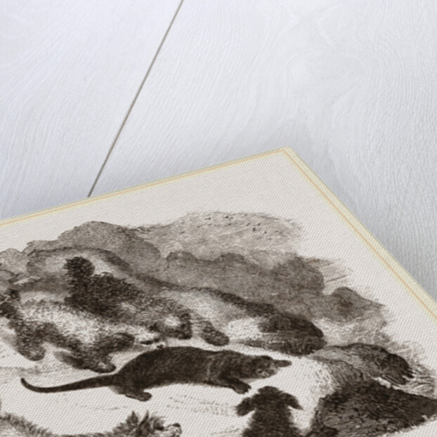 Otter-hunting by Anonymous