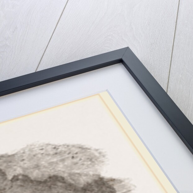 Otter-hunting by Anonymous