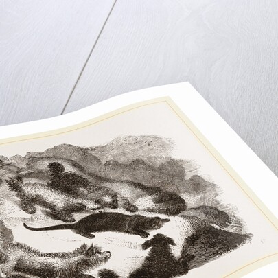 Otter-hunting by Anonymous